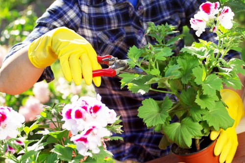 Volunteer tending a community garden raised bed