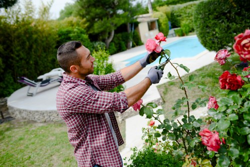 Gardener assessing soil quality and sunlight for landscape planning