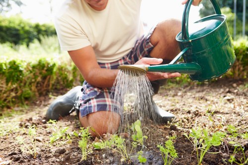 Garden clearance crew removing overgrown vegetation from a backyard