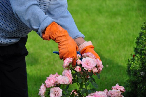Expert horticulturist providing gardening advice
